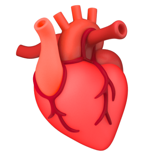 Save image Anatomical Heart emoticon from Google Android without a background in png