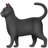 Save pics Black Cat emoticon from Apple iOS on a clean background in PNG