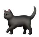 Download a pic Black Cat emoji-emoticon by Huawei  without a background in PNG