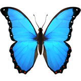 Upload pics Butterfly emoji from Apple iOS no background in PNG