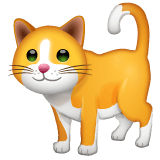Download image Cat emoticon by WhatsApp for Android and PC on a colorless background in png
