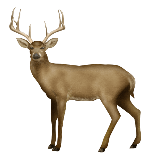Download photos Deer emotion by Emojipedia without a background in png