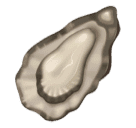 Download a picture Oyster symbol of emotion by Huawei  on a clean background in png