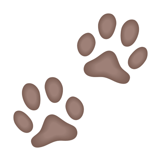Копировать фото иконки настроения Следы собачьих лапок от Icons8 без фона в png