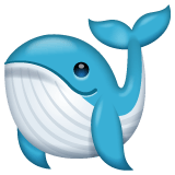 Скопировать фигуру картинки-смайла Кит от WhatsApp для Android и ПК на чистом фоне в PNG