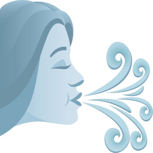Copy image Blowing Wind emoticon by JoyPixels оn a transparent background in png