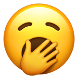 Закачать фото иконки Ну когда это уже закончится? от Apple iOS на бесцветном фоне в ПНГ